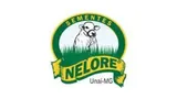NELORE-300x169-1e1f0ecc-160w