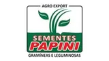 PAPINI-300x169-739d7496-160w