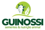 logo_guinossi-160w